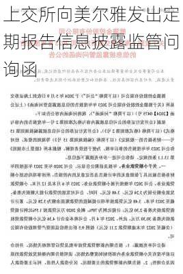 上交所向美尔雅发出定期报告信息披露监管问询函