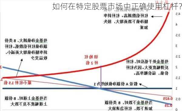 如何在特定股票市场中正确使用杠杆？