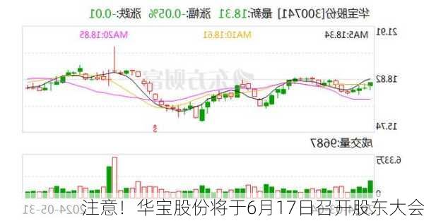 注意！华宝股份将于6月17日召开股东大会