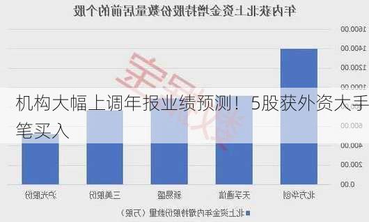 机构大幅上调年报业绩预测！5股获外资大手笔买入