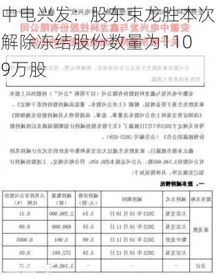 中电兴发：股东束龙胜本次解除冻结股份数量为1109万股