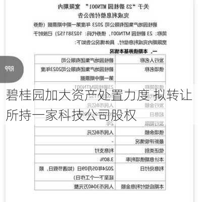 碧桂园加大资产处置力度 拟转让所持一家科技公司股权