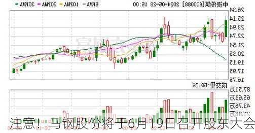 注意！马钢股份将于6月19日召开股东大会