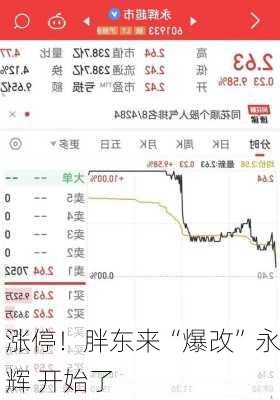 涨停！胖东来“爆改”永辉 开始了