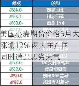 美国小麦期货价格5月大涨逾12% 两大主产国同时遭遇恶劣天气