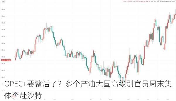 OPEC+要整活了？多个产油大国高级别官员周末集体奔赴沙特