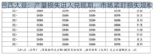 巴西大豆：产量损失进入兑现期，市场紧盯损失规模