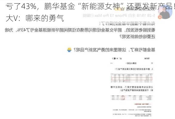 亏了43%，鹏华基金“新能源女神”还要发新产品！大V：哪来的勇气