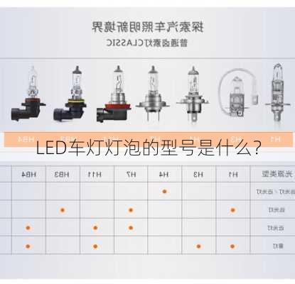 LED车灯灯泡的型号是什么？