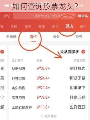 如何查询股票龙头？
