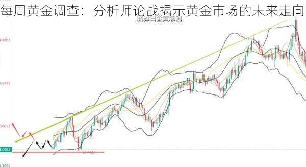 每周黄金调查：分析师论战揭示黄金市场的未来走向