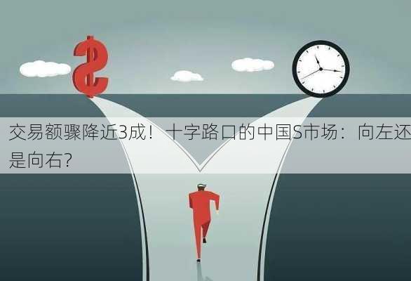 交易额骤降近3成！十字路口的中国S市场：向左还是向右？