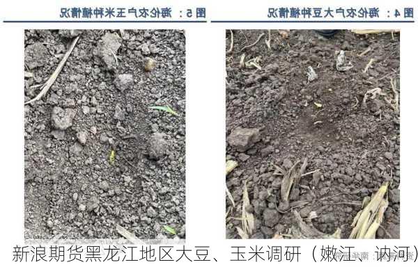 新浪期货黑龙江地区大豆、玉米调研（嫩江、讷河）