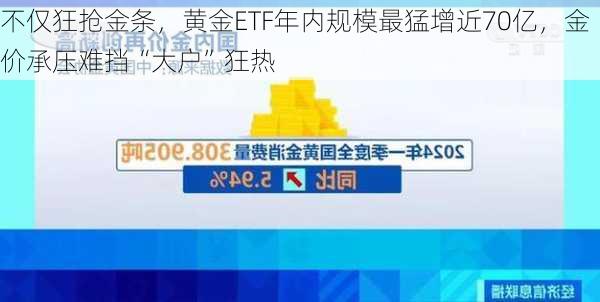 不仅狂抢金条，黄金ETF年内规模最猛增近70亿，金价承压难挡“大户”狂热