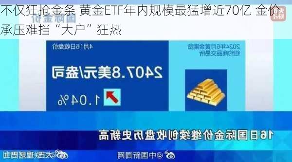 不仅狂抢金条 黄金ETF年内规模最猛增近70亿 金价承压难挡“大户”狂热