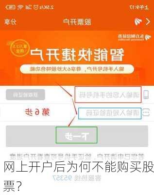 网上开户后为何不能购买股票？