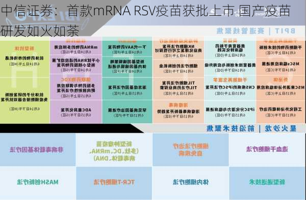 中信证券：首款mRNA RSV疫苗获批上市 国产疫苗研发如火如荼