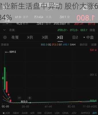 建业新生活盘中异动 股价大涨6.84%