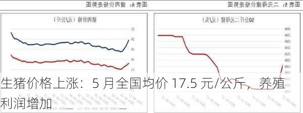 生猪价格上涨：5 月全国均价 17.5 元/公斤，养殖利润增加