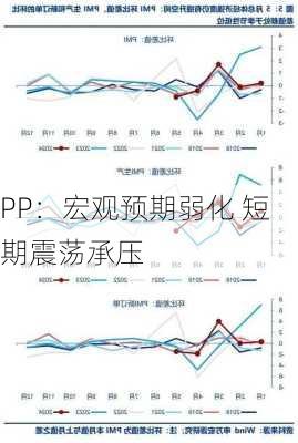 PP：宏观预期弱化 短期震荡承压