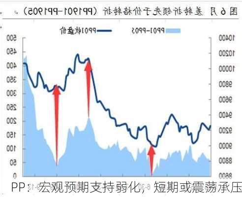 PP：宏观预期支持弱化，短期或震荡承压