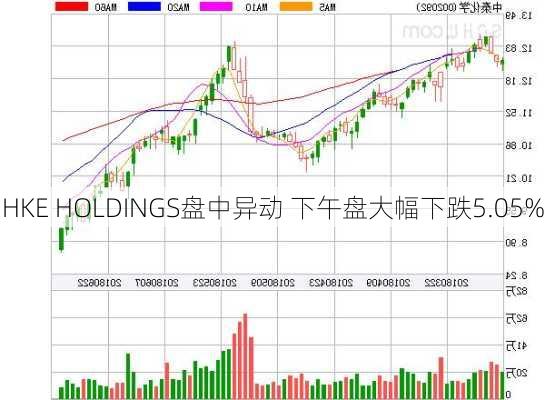 HKE HOLDINGS盘中异动 下午盘大幅下跌5.05%