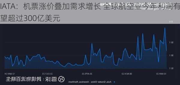 IATA：机票涨价叠加需求增长 全球航空业今年利润有望超过300亿美元