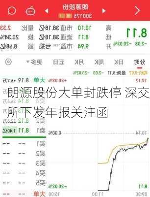 朗源股份大单封跌停 深交所下发年报关注函