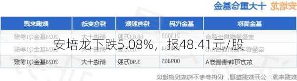 安培龙下跌5.08%，报48.41元/股