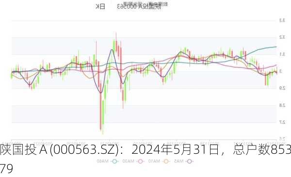 陕国投Ａ(000563.SZ)：2024年5月31日，总户数85379