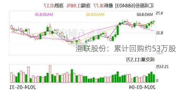 溯联股份：累计回购约53万股