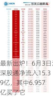 最新出炉！6月3日沪深股通净流入15.39亿，其中6.957亿买了它