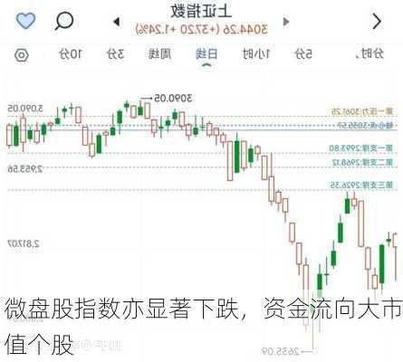 微盘股指数亦显著下跌，资金流向大市值个股