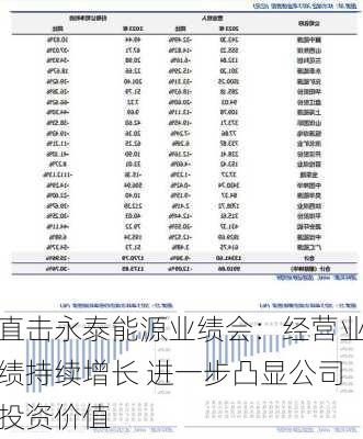 直击永泰能源业绩会：经营业绩持续增长 进一步凸显公司投资价值