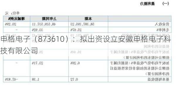 申格电子（873610）：拟出资设立安徽申格电子科技有限公司