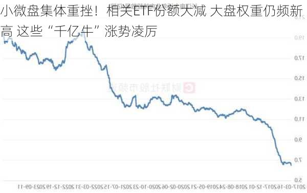 小微盘集体重挫！相关ETF份额大减 大盘权重仍频新高 这些“千亿牛”涨势凌厉