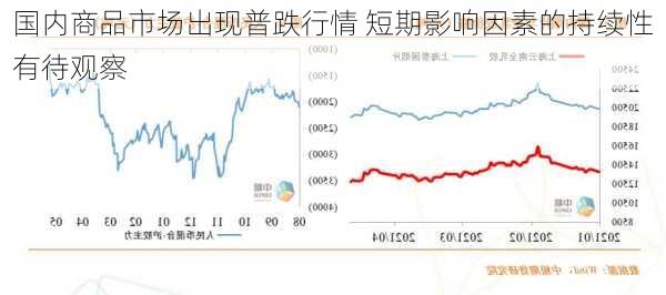 国内商品市场出现普跌行情 短期影响因素的持续性有待观察