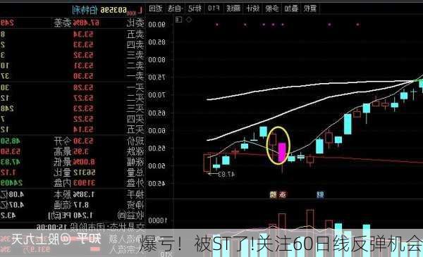 爆亏！被ST了!关注60日线反弹机会