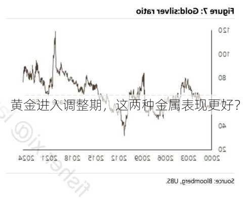 黄金进入调整期，这两种金属表现更好？