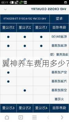 翼神养车费用多少？