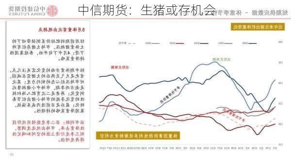 中信期货：生猪或存机会
