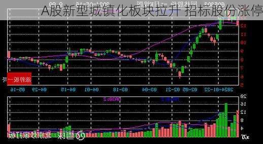 A股新型城镇化板块拉升 招标股份涨停