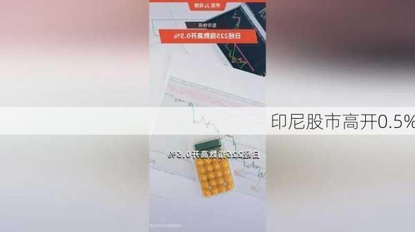 印尼股市高开0.5%