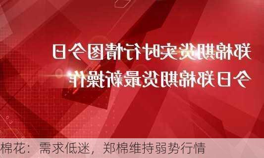 棉花：需求低迷，郑棉维持弱势行情