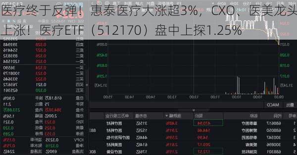 医疗终于反弹！惠泰医疗大涨超3%，CXO、医美龙头联袂上涨！医疗ETF（512170）盘中上探1.25%