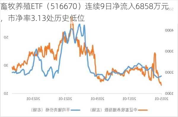 畜牧养殖ETF（516670）连续9日净流入6858万元，市净率3.13处历史低位