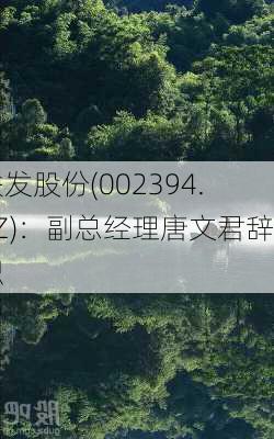 联发股份(002394.SZ)：副总经理唐文君辞职