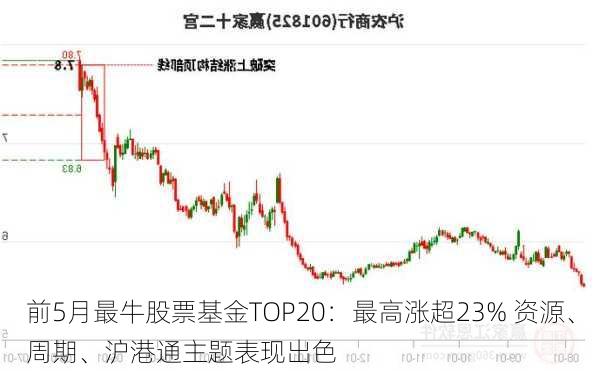 前5月最牛股票基金TOP20：最高涨超23% 资源、周期、沪港通主题表现出色