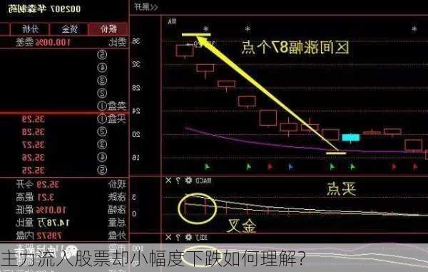 主力流入股票却小幅度下跌如何理解？