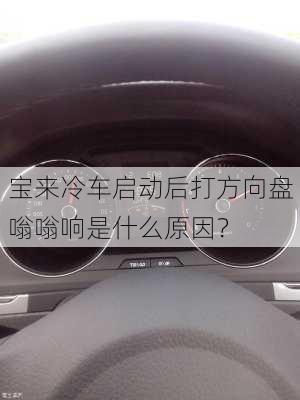 宝来冷车启动后打方向盘嗡嗡响是什么原因？